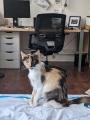 LYLA