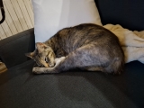 BOUSSOLE