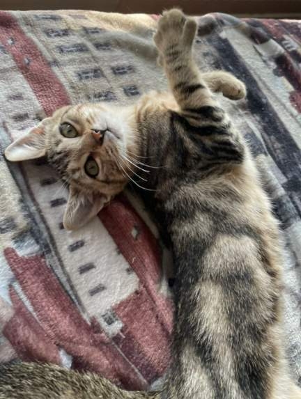 EZIO