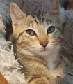EZIO