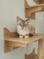 PRINCESSE